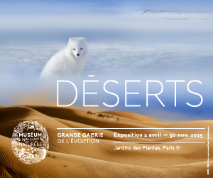 130325_DESERTS_LA MUSE_300x250 Px.jpg